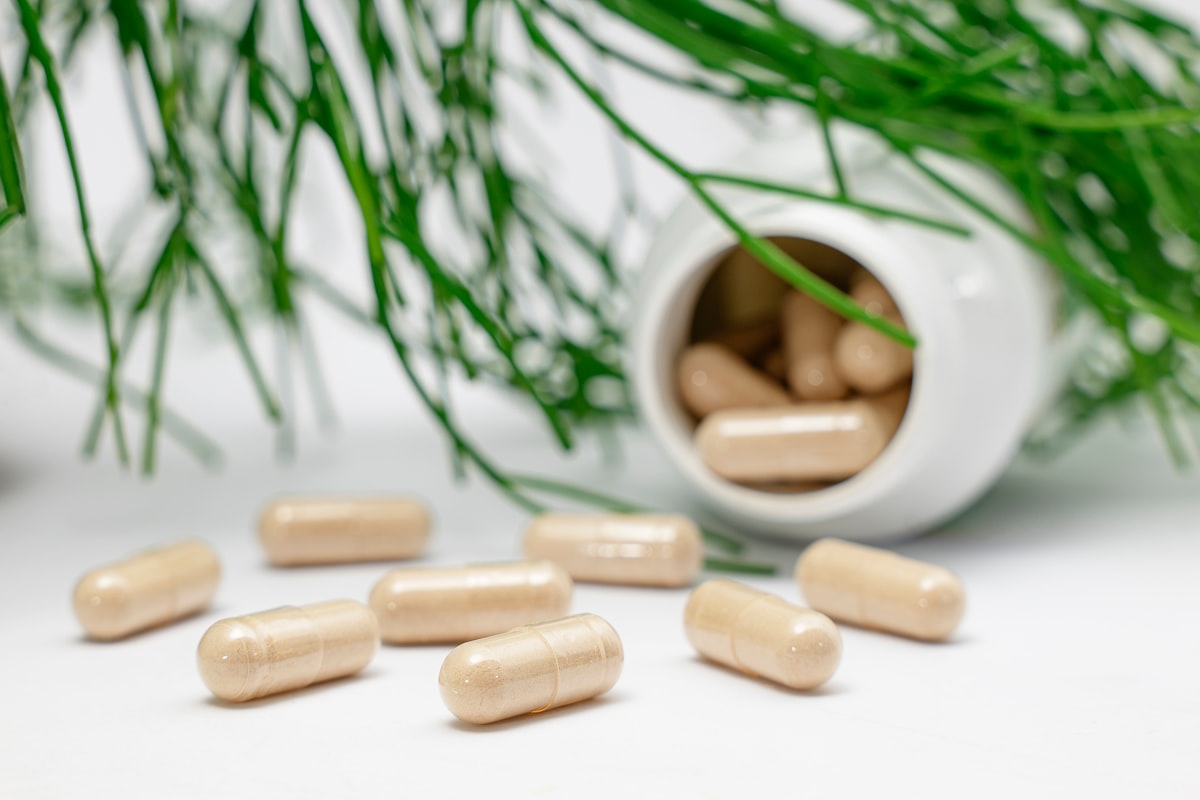 Biodisponibilidad de vitaminas